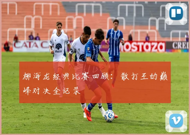 柳海龙经典比赛回顾:散打王的巅峰对决全记录