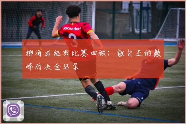 柳海龙经典比赛回顾：散打王的巅峰对决全记录